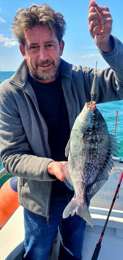 2 lb Black Sea Bream by Richard