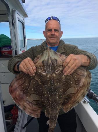 12 lb Undulate Ray by Rich
