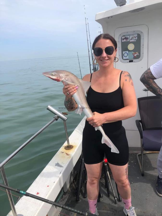 4 lb Smooth-hound by Bethany