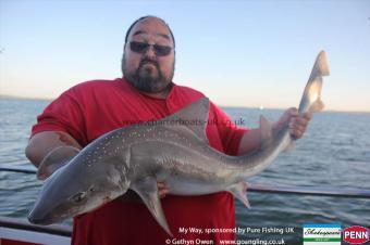 19 lb Starry Smooth-hound by Jack