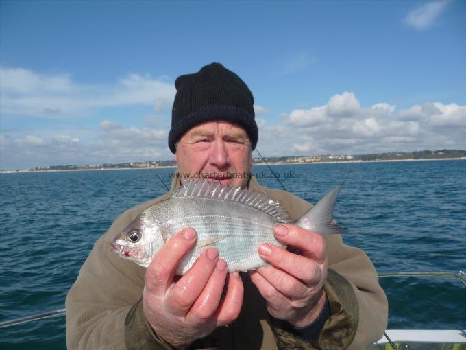 1 lb Black Sea Bream by Keith Trim