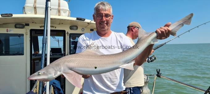 13 lb Starry Smooth-hound by Alan