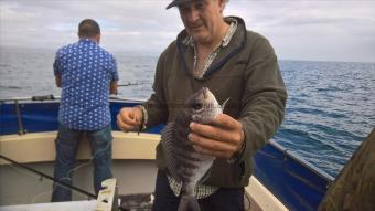 2 lb Black Sea Bream by Stephen Wake