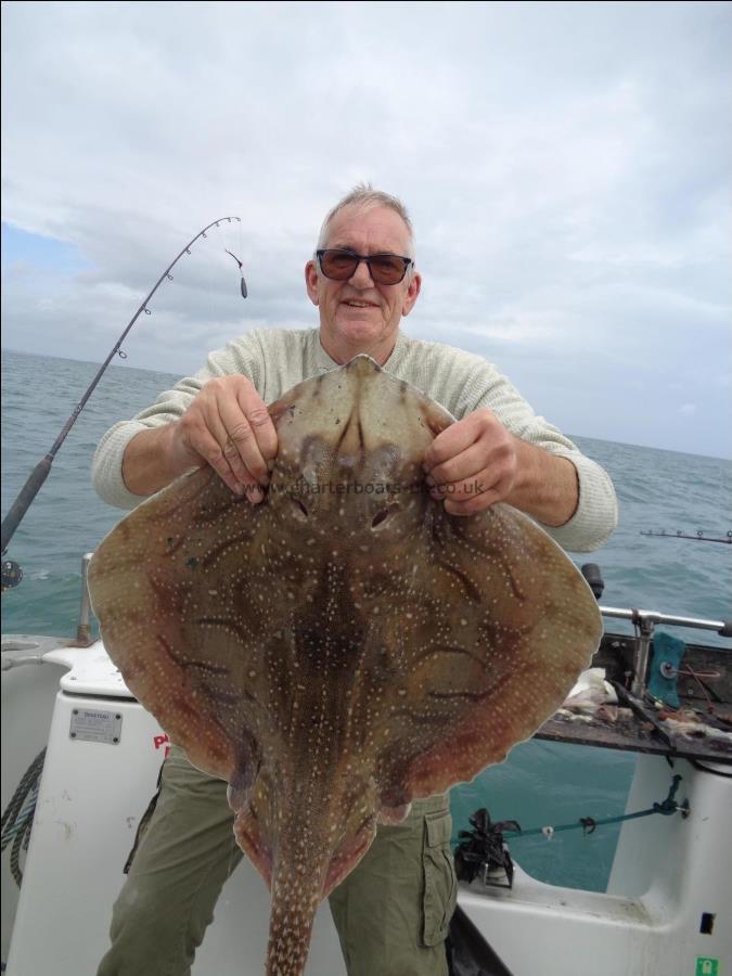 15 lb Undulate Ray by crazy kev undulated ray