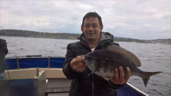 3 lb 8 oz Black Sea Bream by Stephen Wake