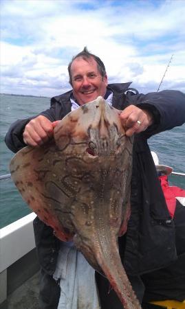 16 lb Undulate Ray by Andy