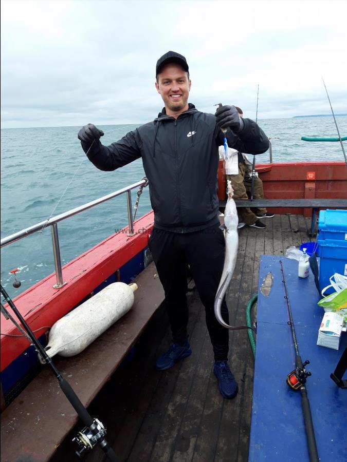 3 lb Conger Eel by Brian Westwood Group