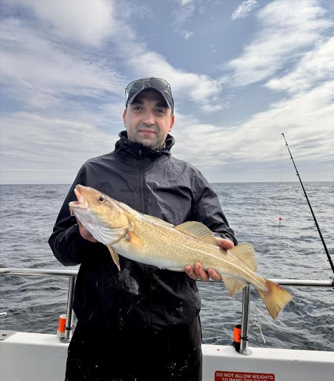 4 lb 12 oz Cod by Andras Pinti