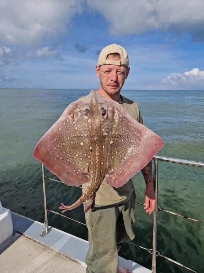 7 lb Thornback Ray by Unknown