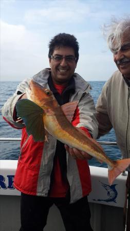 4 lb Tub Gurnard by Tabish