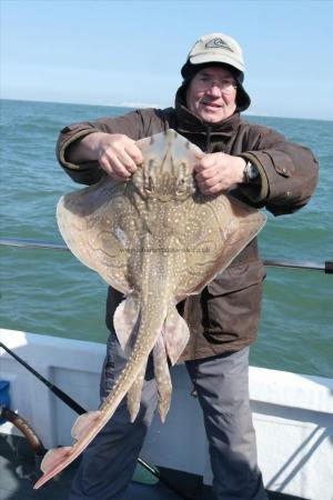 13 lb Undulate Ray by Unknown
