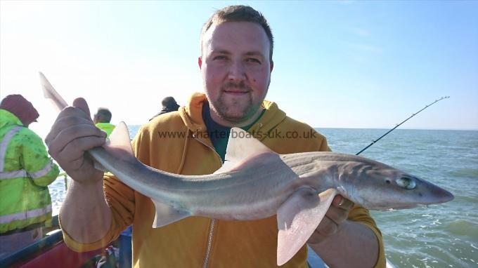 5 lb 5 oz Starry Smooth-hound by Gavin from Sussex