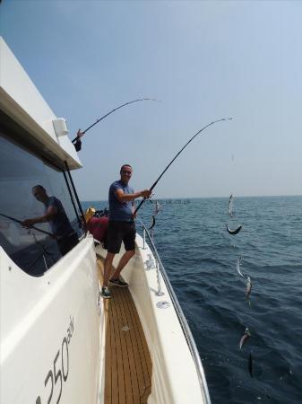 1 lb Mackerel by Dyke's boozers