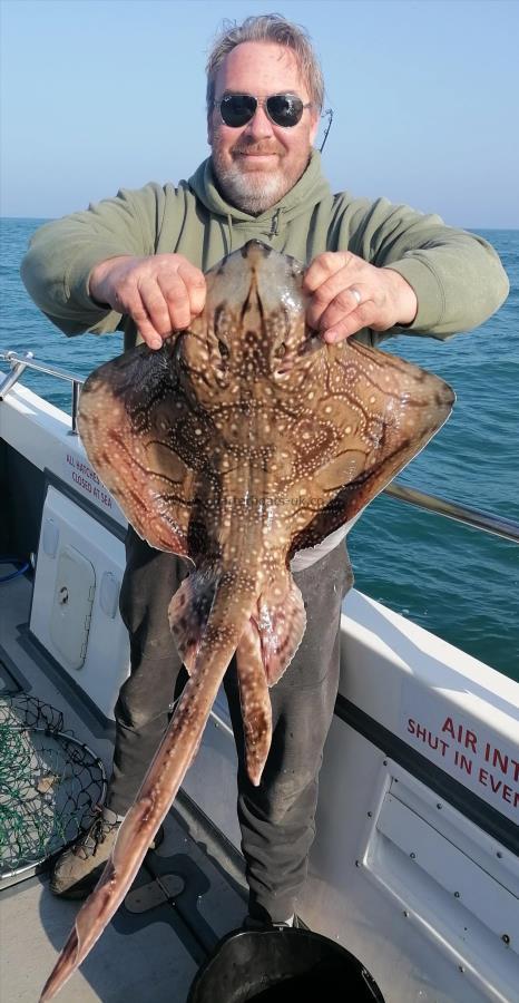 10 lb Undulate Ray by Unknown
