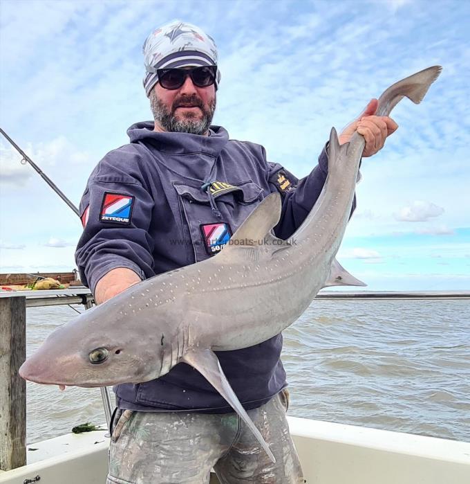 15 lb 6 oz Starry Smooth-hound by Jon