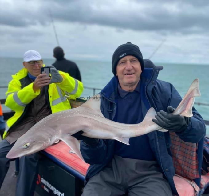 13 lb Smooth-hound by Unknown