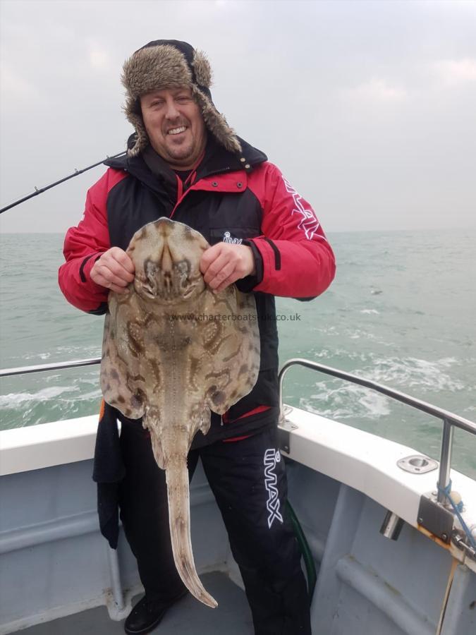 14 lb Undulate Ray by Unknown