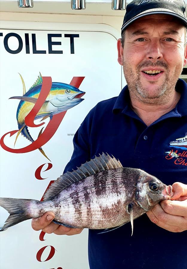 1 lb 8 oz Black Sea Bream by Jeff