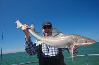 12 lb Starry Smooth-hound by Jim