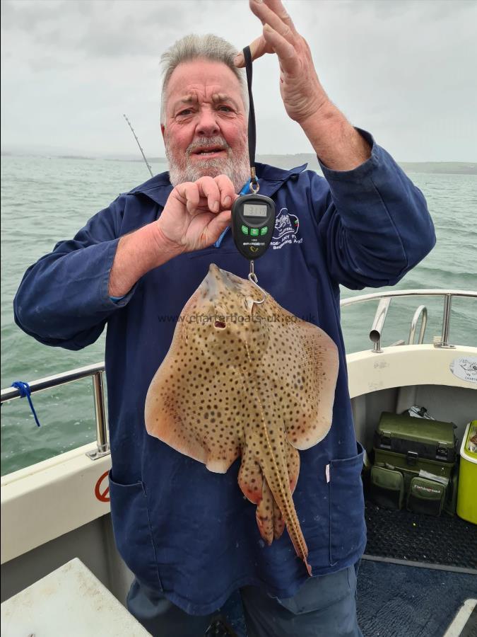 3 lb Spotted Ray by George G