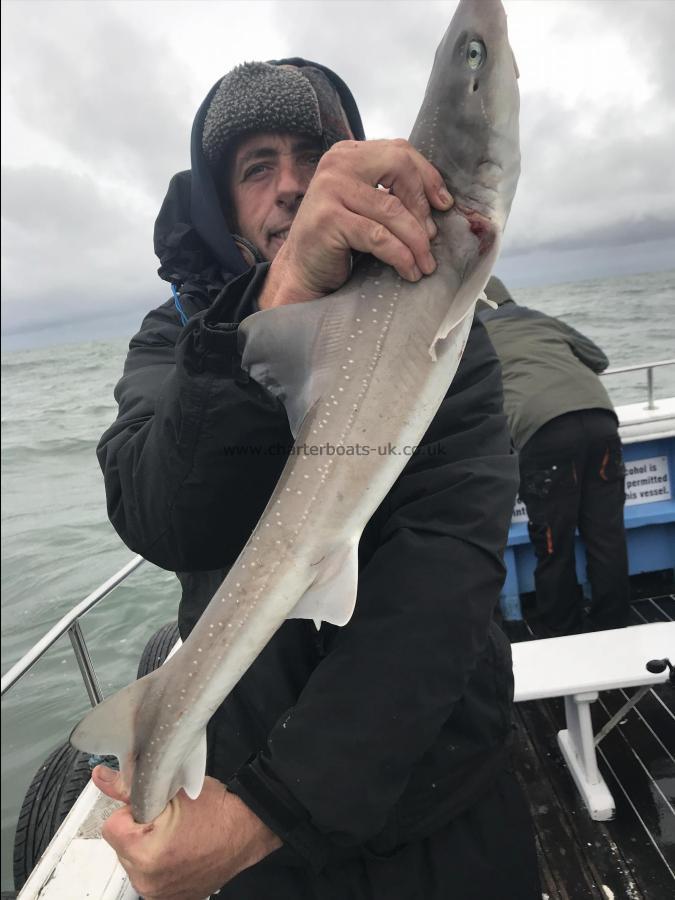 5 lb Smooth-hound (Common) by Morgan from Coventry 15/10/2018