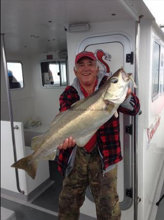 12 lb 10 oz Pollock by Bill