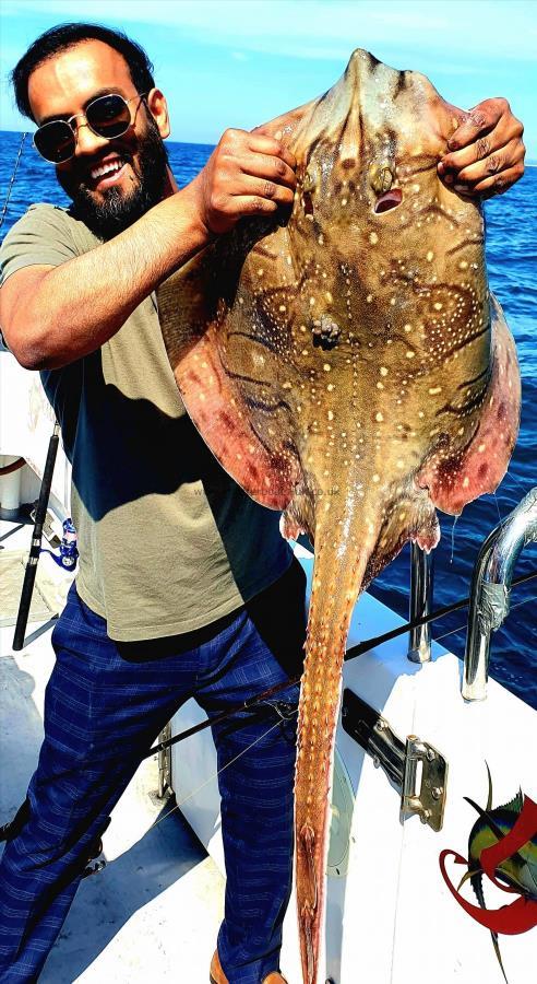 12 lb Undulate Ray by Unknown