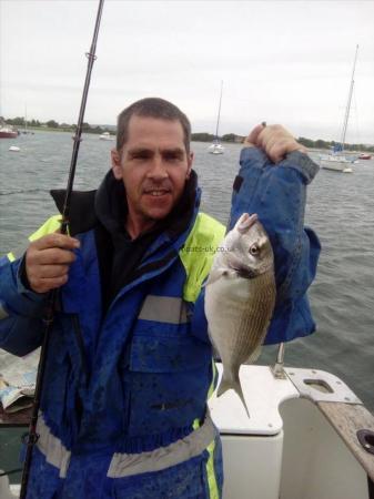 1 lb 8 oz Gilt-head Sea Bream by Unknown