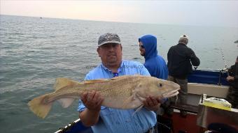 16 lb Cod by Stephen Wake