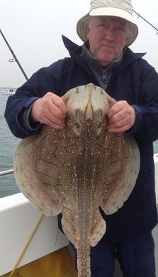 13 lb Undulate Ray by Guy Strange