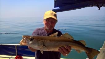 6 lb Pollock by Stephen Wake