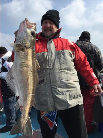 10 lb 8 oz Pollock by Kevin McKie