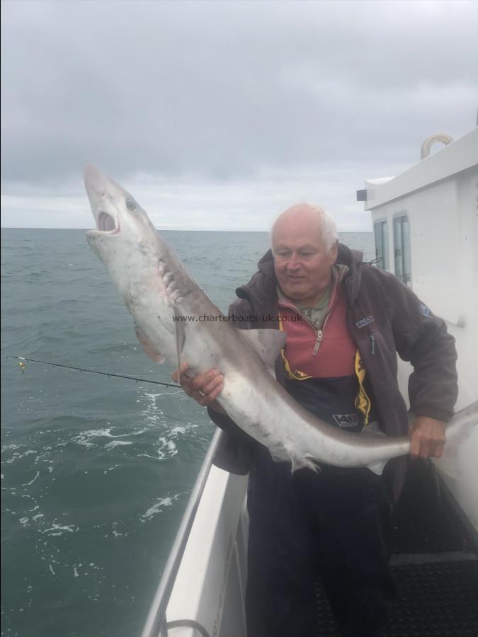 35 lb Tope by Unknown