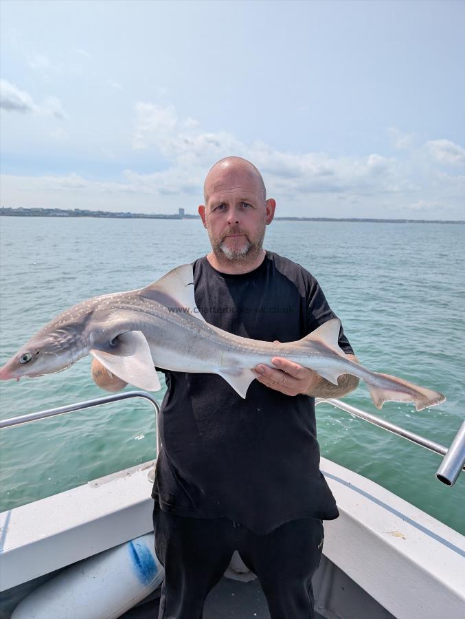 9 lb Starry Smooth-hound by Steve