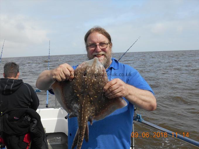 5 lb Thornback Ray by Steve Whiiting