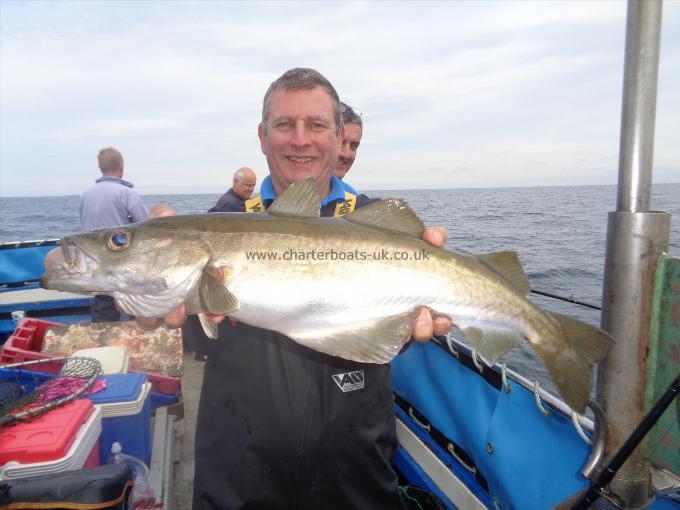 11 lb 6 oz Pollock by Unknown