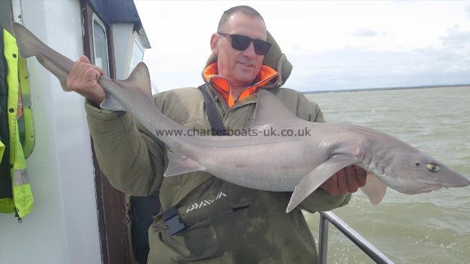 15 lb Smooth-hound (Common) by Woody