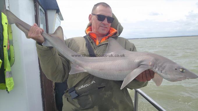 15 lb Smooth-hound (Common) by Woody