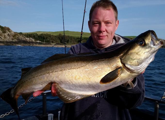 8 lb 9 oz Pollock by john