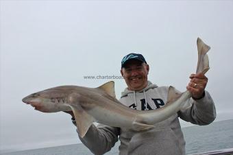 16 lb 5 oz Starry Smooth-hound by Colin 'BlueNose'Hughes