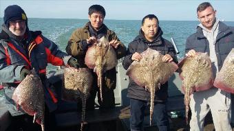 10 lb Thornback Ray by Matts party