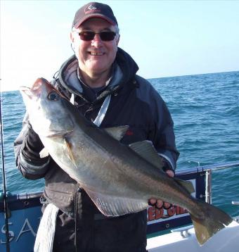 11 lb 4 oz Pollock by Trevor Lockyer