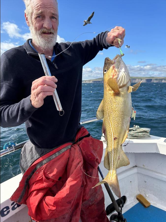 6 lb Cod by Shaun.