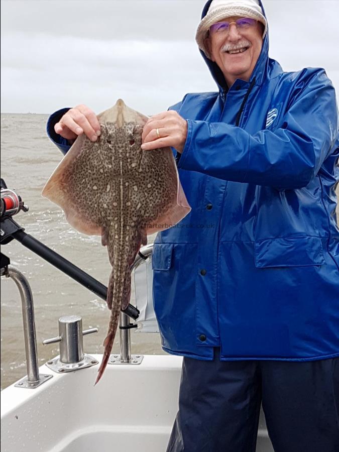 5 lb Thornback Ray by Derek ball