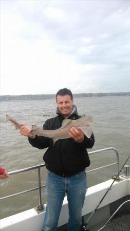 8 lb 4 oz Starry Smooth-hound by mark baker