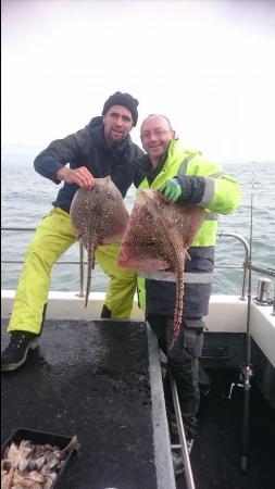 8 lb 8 oz Thornback Ray by Bob Marshall