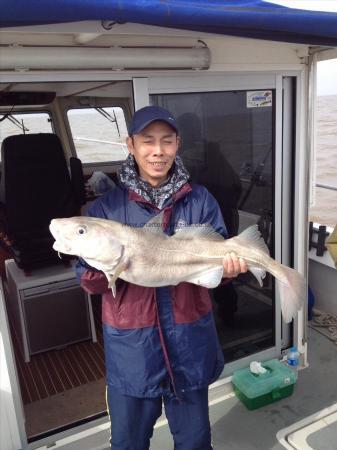 14 lb Cod by Lee