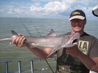 11 lb 6 oz Starry Smooth-hound by Mark