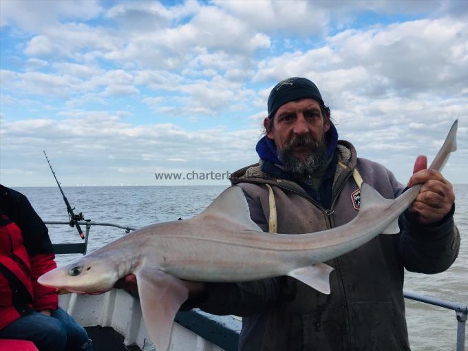 7 lb 3 oz Smooth-hound (Common) by Unknown