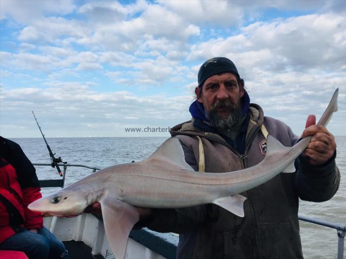 7 lb 3 oz Smooth-hound by Unknown